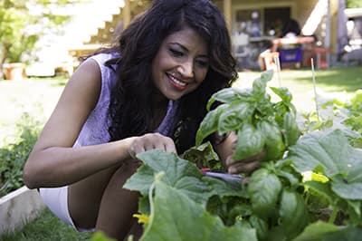 Cooking Channel's Bal Arneson Project, Season 1
