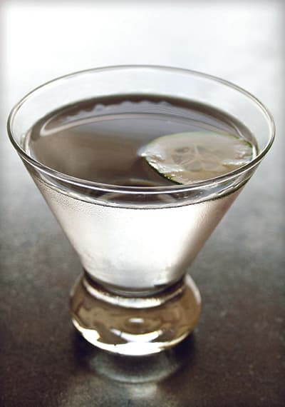 1964 Saketini