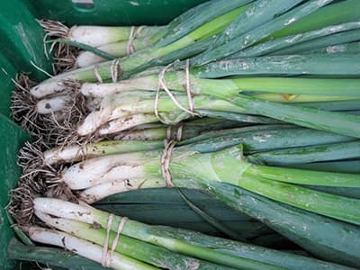 Farm_Produce_06
