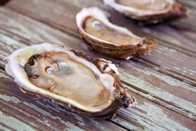 Raw Oysters