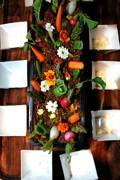 Edible Garden