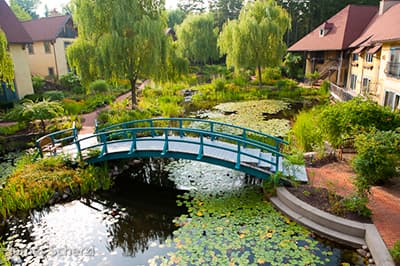 Mirbeau 8