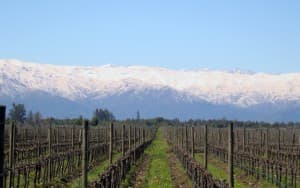 Maipo