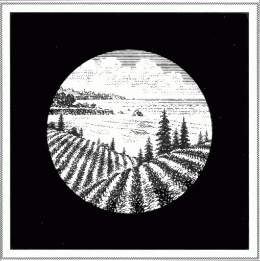 Bargetto Winery to Release 2011 LA VITA June 7, 2015