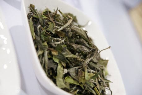 World Tea Expo to Present ‘The John Harney Lifetime Achievement Award’ During the World Tea Awards, May 7 in Long Beach, Calif.