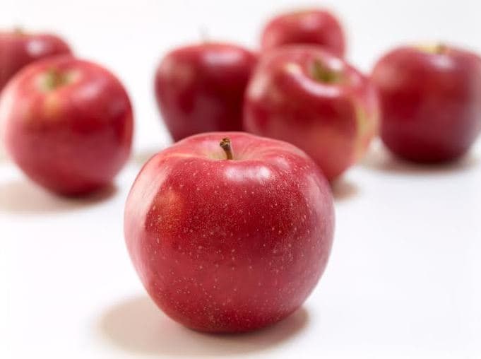 New York Apple Growers Unveils New Organization Name