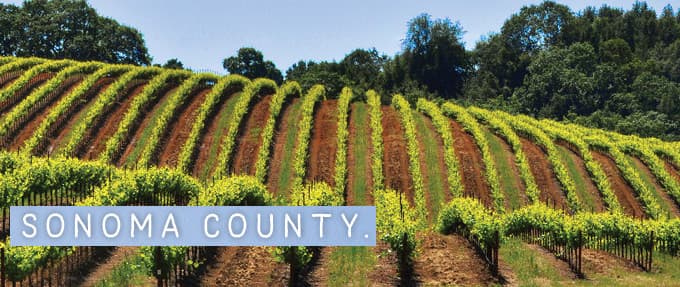 New flights announced to Sonoma Wine Country