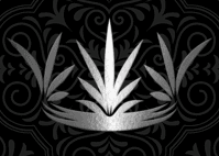 tequila honor