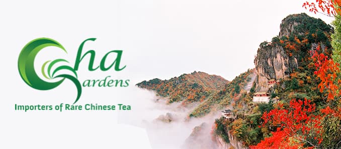 Get To Know China’s Famed Tea Master Cai Rugui