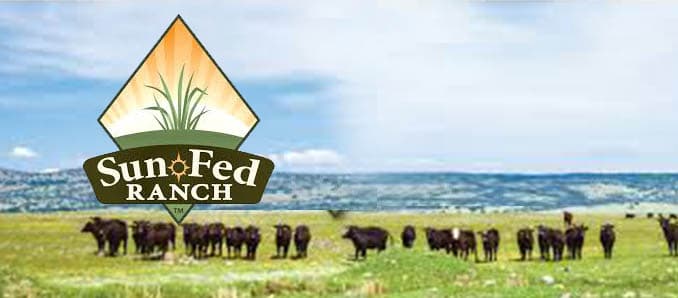 Sunfed Ranch Names Industry Veteran John Flynn As Vice President Of Sales