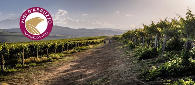 The 50th Anniversary of the Montepulciano d’Abruzzo DOC