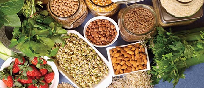 Global Gluten-Free Foods & Beverages Market Worth $5.12 Billion