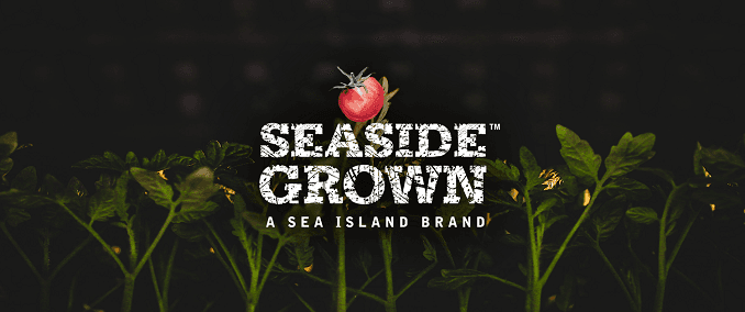 Seaside Grown Wins Wine & Spirits Wholesalers of America’s Brand Battle 2019
