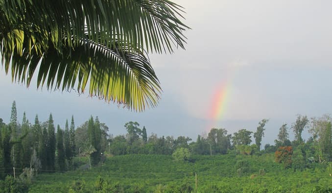 Kona Coffee is Bathing in Blu; Now You Can Too – Only at Buddha’s Sanctuary