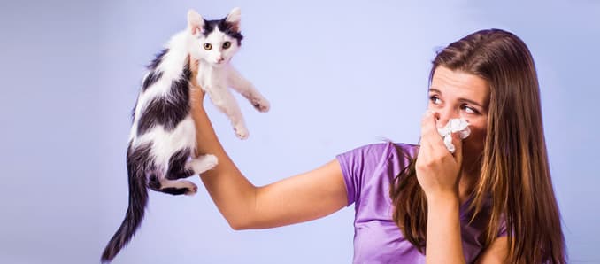 How To Live With Your Pets If You’re Suffering From Asthma