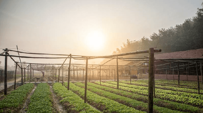 Plating up Sustainability in Asia