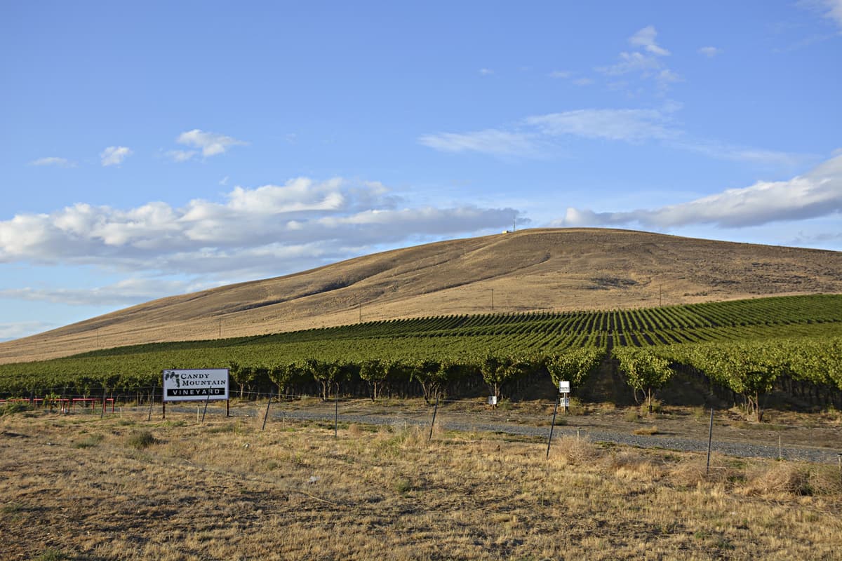 Candy Mountain Becomes Washington’s 16th American Viticultural Area