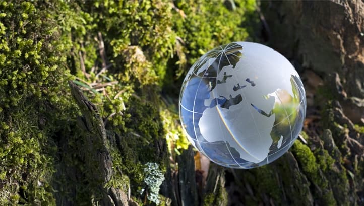 How can businesses accelerate circular economy progress beyond Covid-19?