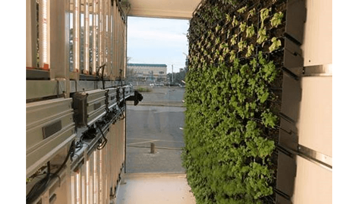 GET BACK TO NATURE WITH DELICIOUS GREENS FROM TWO OF NEW YORK STATE’S GEOPONIC WALL FARMS