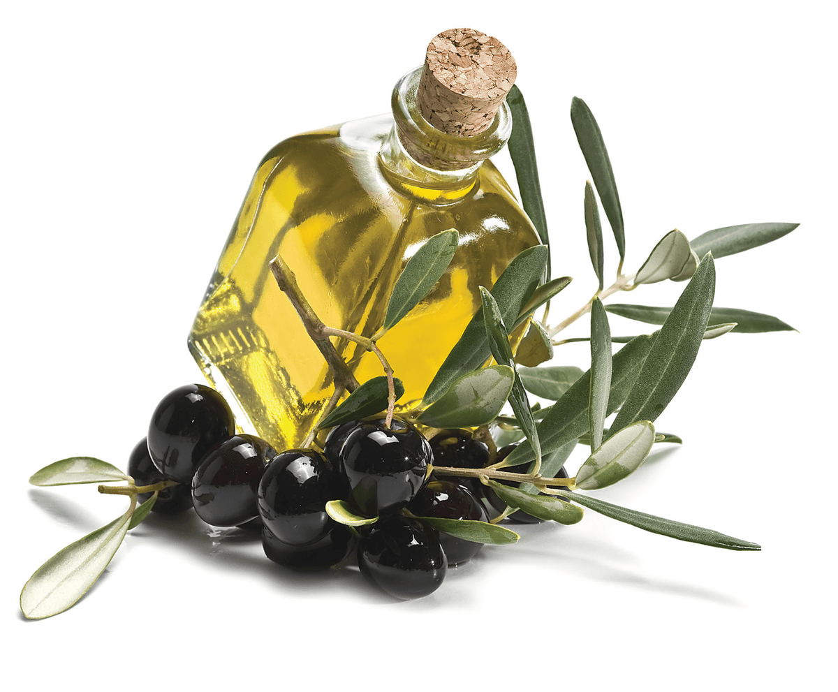 A 6000-Year-Old Contribution to the Mediterranean Diet: Turkish Olive Oil & Olive
