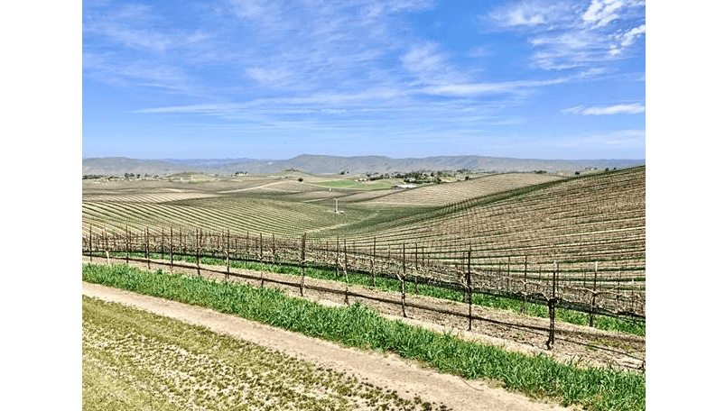 THE DUCKHORN PORTFOLIO ACQUIRES 265-ACRE CABERNET SAUVIGNON VINEYARD IN PASO ROBLES, CALIFORNIA