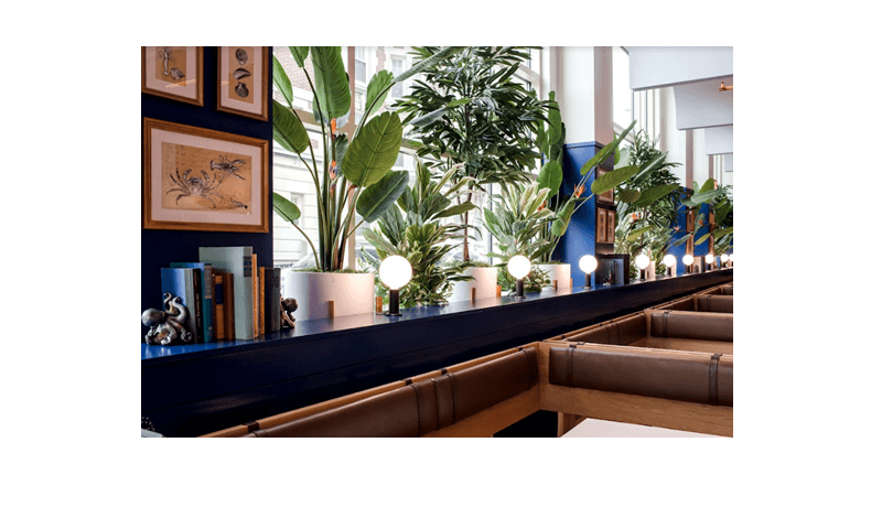 HIGHLY ANTICIPATED PESCADOR OPENS IN KENMORE SQUARE NEIGHBORHOOD