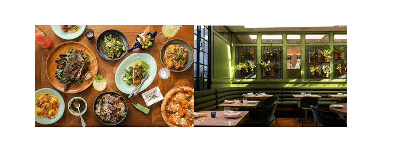 INTRODUCING PLEASUREMED, THE DESTINATION BRINGING TOGETHER A DESIGN-FORWARD DISPENSARY, CALIFORNIA-INSPIRED RESTAURANT & AN AL-FRESCO COCKTAIL LOUNGE