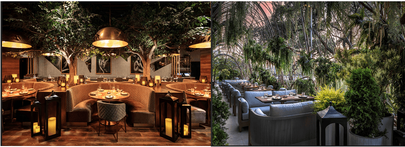 NOBLE 33 DEBUTS MODERN MEXICAN STEAKHOUSE TOCA MADERA IN HOUSTON