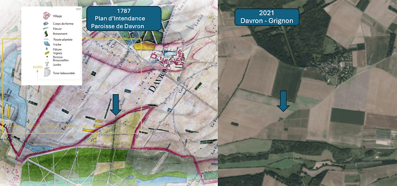 Unexpected Discovery Links Modern Versailles Vineyard to 18th-Century Winemaking Tradition