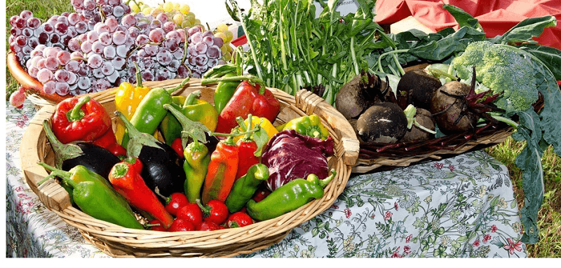 How Biodynamic Farming Methods are Shaping Food Industry Trends