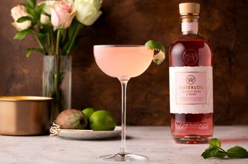 The Hottest Pink Drink of 2025? Waterloo Gin’s New Prickly Pear & Rose Gin