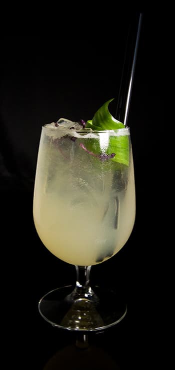 Celebrate National Margarita Day with NOHO!