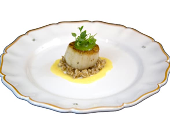 Moroccan Sea Scallop, Preserved Lemon Farrotto, Green Charmoula, Gewürztraminer Beurre Blanc