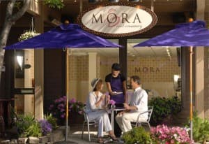 Mora Iced Creamery Franchise