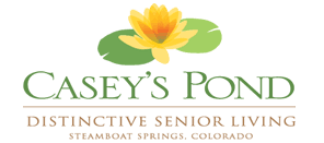 Casey's Pond
