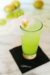 Summer Kiwi Smash