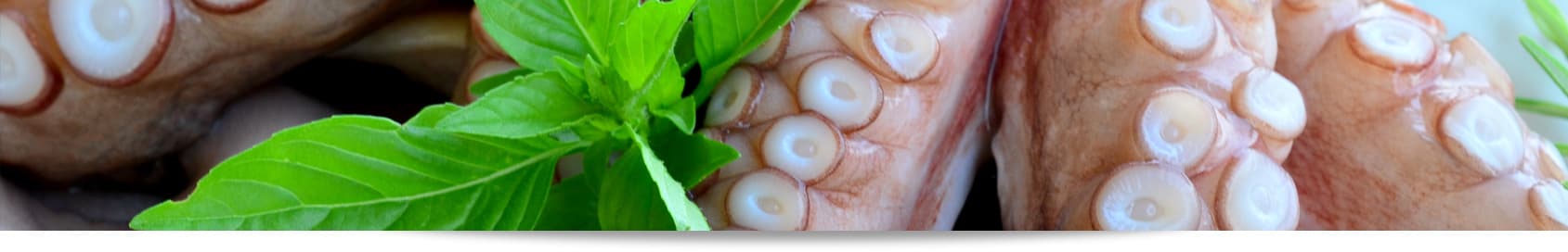A Tradition of Love, Passion and Great Seafood