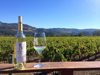 Napa Valley Wine Pairs Perfectly with Tuscan Dishes for the Holidays