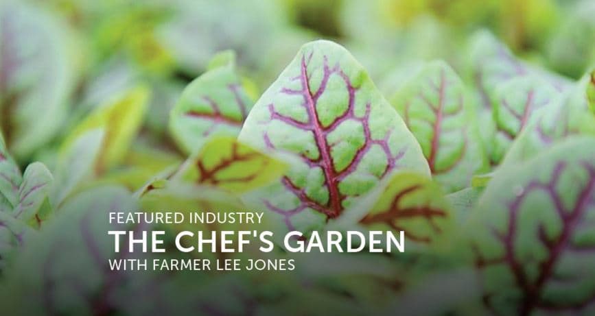 F&B Magazine : Food Industry ~ Farmer Lee Jones: The Chef’s Garden