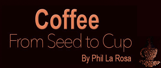 Coffee from Seed to Cup