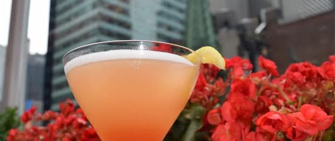 Eclipse Martini cocktail recipe from Haven Rooftop head mixologist, Gianluca Cannarsa