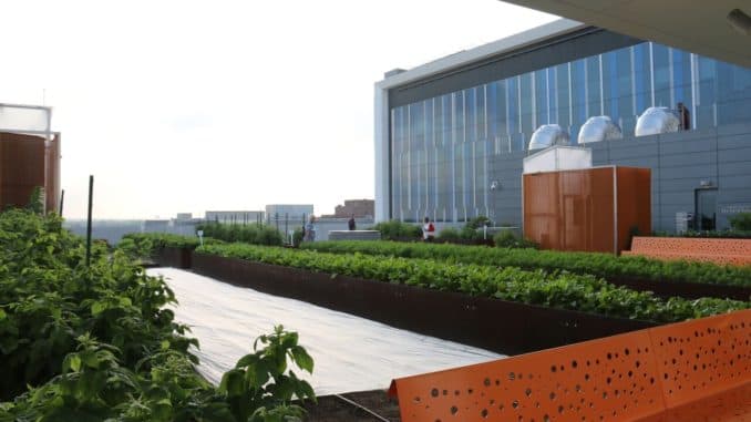 sky farm