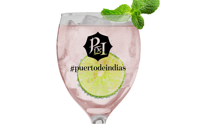 Puerto de Indias Strawberry Gin Perfect Serve Cocktails Celebrate the Summer in Style