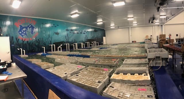 Boston Sword & Tuna Announces New, Larger Facility focused on Health and Safety of their Products and Employees