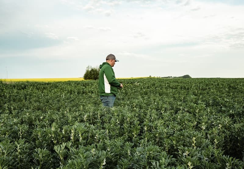 BEYOND MEAT® INVITES CONSUMERS ON A JOURNEY TO SEE THE GOODNESS IN EACH STEP OF CREATING THE COMPANY’S DELICIOUS, NUTRITIOUS, AND SUSTAINABLE PLANT-BASED PROTEINS