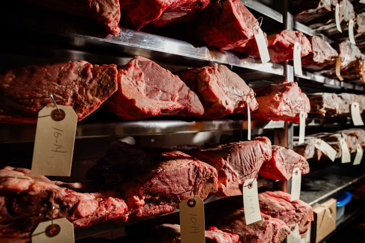 Celebrating 70 Years of Bern’s Steak House: A Legacy of Excellence