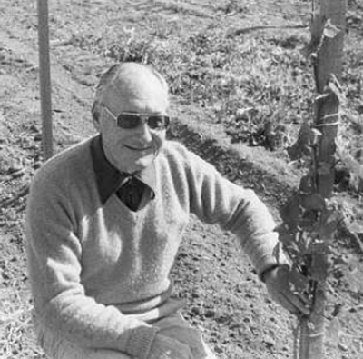 Jack_Niven_at_Paragon_Vineyard_1974