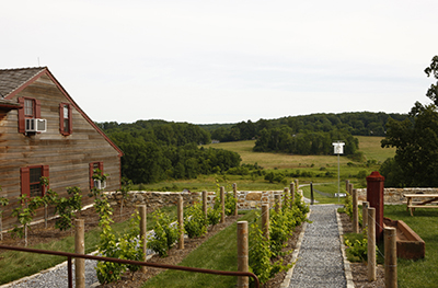 Wyebrook- Landscape_5346 Credit Jason Varney