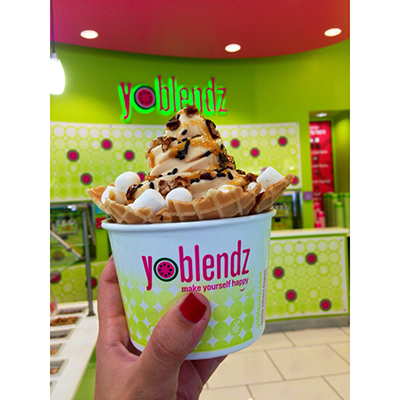 YoBlendz yogurt photo