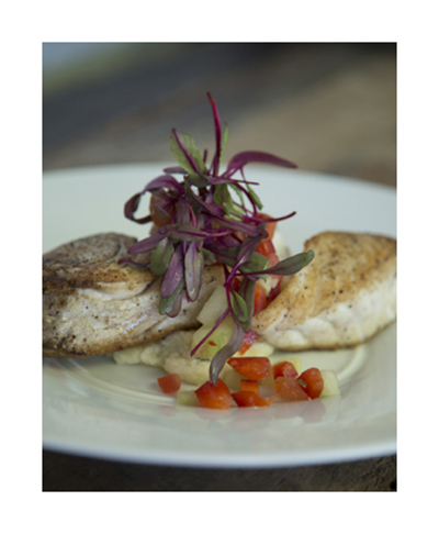 Halibut+Greek+Style03+lr+et